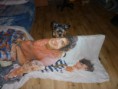 /album/fotogalerie/a10308130-283776605125450-8081710438193414531-n-jpg/